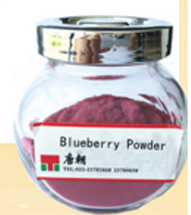 Blueberry - Tianjin Tangchao Foods Industry Co., Ltd